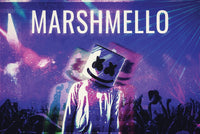 DJ Marshmello Club Scene Poster Print - 22x34