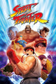 Street Fighter Characters Rolled Poster Print - 22x34
