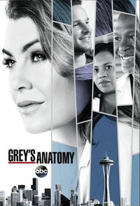 Grey's Anatomy Collage Rolled Poster Print - 22x34