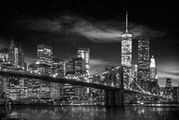 Freedom Tower New York City Skyline Rolled Poster Print