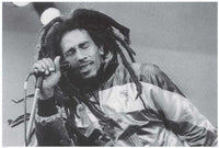 Bob Marley Dreadlocks Poster Print - 34x22 Rolled Poster