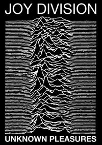 Joy Division Unknown Pleasures Poster Print - 24x36