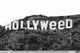Hollyweed Sign Poster Print - 34x22 Rolled Poster
