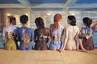 Pink Floyd Back Catalog Rolled Poster Print 34x22