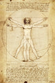 Da Vinci Vitruvian Man Poster Print (22x34) - Item # VARXPSAP104