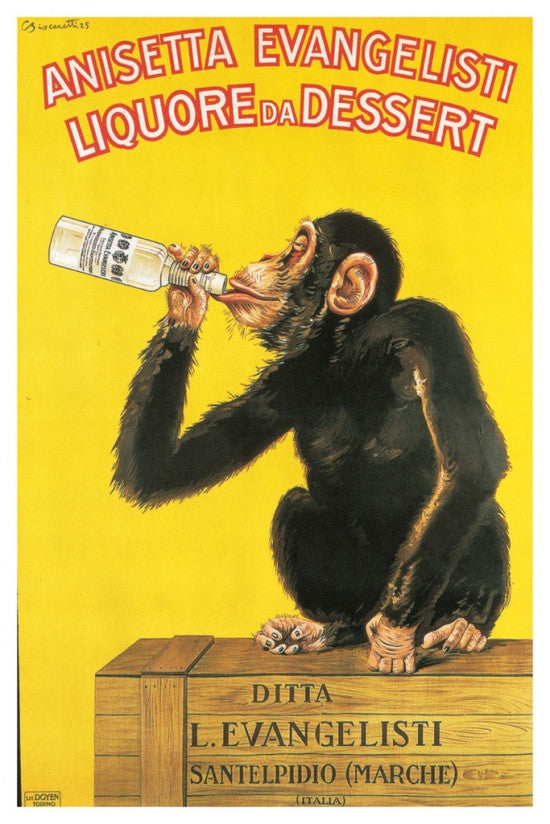 Anisetta Chimp Drinking Poster Print - 22x34 Rolled Poster