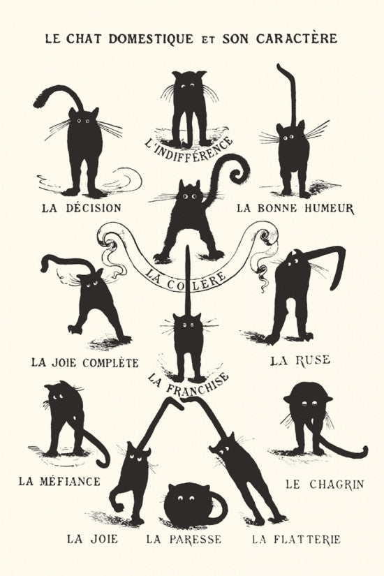 Le Chat Domestique Black Cats Poster Print - 22x34
