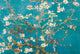 Van Gogh Almond Blossom Poster Print 34x22