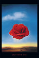 Salvador Dali Meditative Rose Poster Print - 24x36