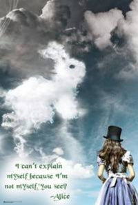 Alice In Wonderland Illusions Rolled Poster Print
