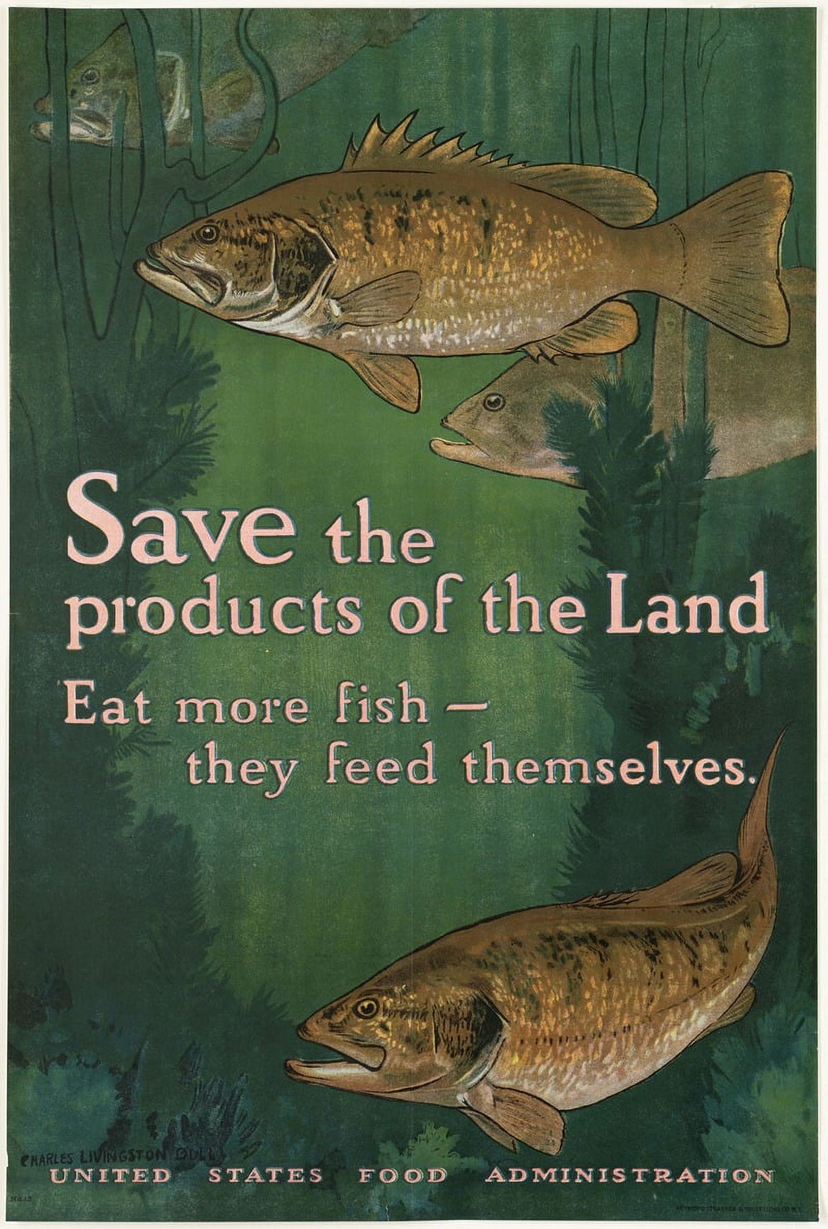 Save the Products of the Land Eat More Fish Poster Print by Charles Livingston Bull