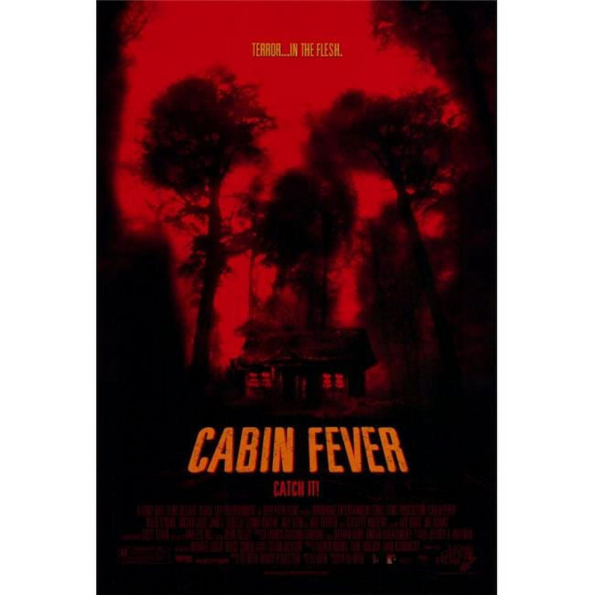 Cabin Fever movie poster print in 27x40 size, showcasing horror film art.