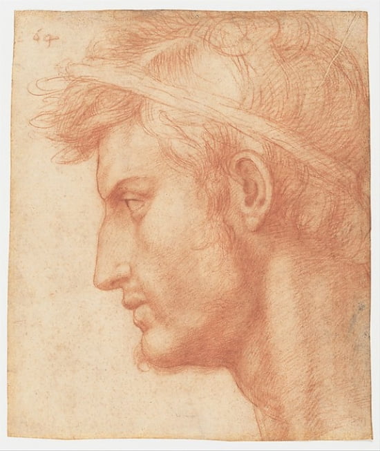 Study for the Head of Julius Caesar Art Print by Andrea del Sarto - 8x10