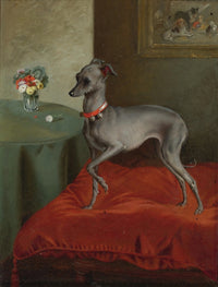 Italian Greyhound on a red cushion 19th century poster print