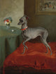 Italian Greyhound on a red cushion 19th century poster print