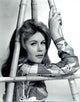 Elizabeth Montgomery holding bamboo photo print - classic television art.