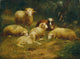 Schafe (1870) art print by Johann Baptist Hofner featuring a serene sheep scene.