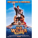 National Lampoon's Van Wilder: The Rise of Taj Movie Poster 11x17