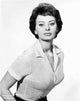 Sophia Loren iconic portrait photo print, elegant and classic decor.