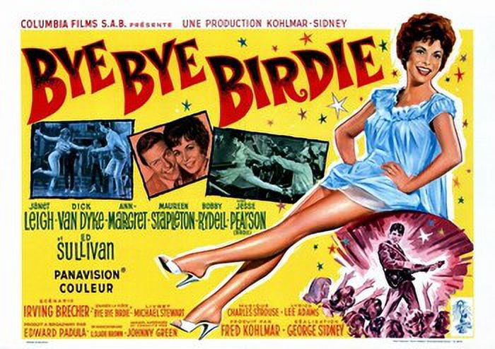 Bye Bye Birdie Movie Poster 17x11 print showcasing classic musical charm.