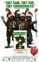 Teenage Mutant Ninja Turtles 2 The Secret of the Ooze Movie Poster 11x17