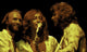 Bee Gees on stage photo print capturing the iconic trio performing live.
