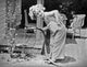 Shirley Temple watering flowers photo print, vintage charm.