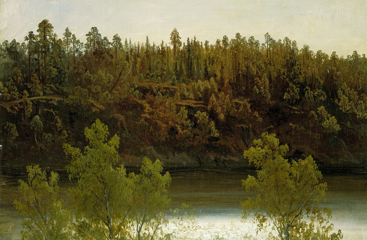 Swedish Lake Study Poster Print by Marcus Larson 18x24