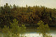 Swedish Lake Study Poster Print by Marcus Larson 18x24
