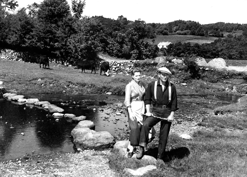 The Quiet Man Movie Photo Print art featuring classic cinema imagery.