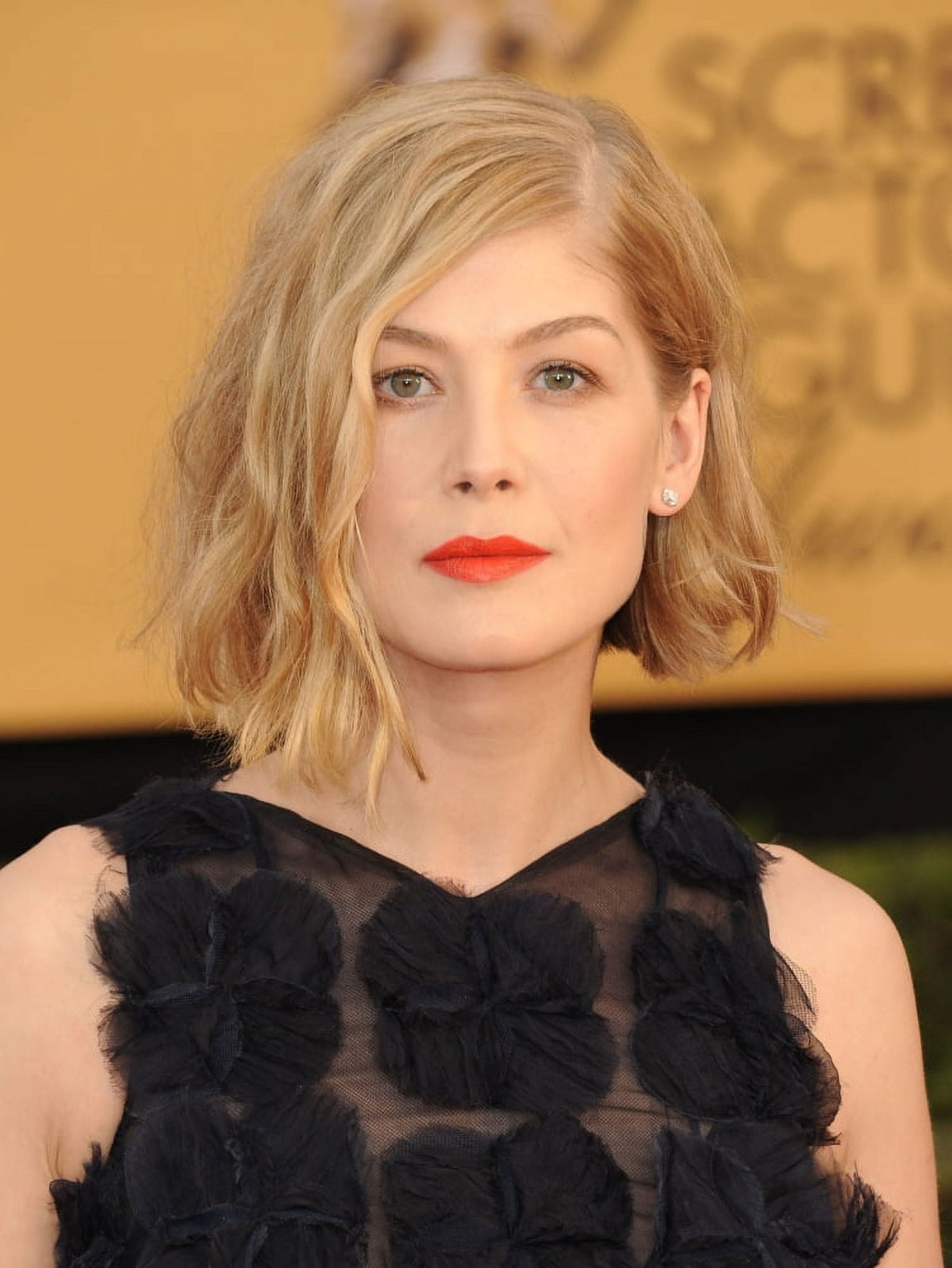 Rosamund Pike at the 21st Annual Screen Actors Guild Awards Photo Print