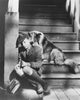 Lassie Come Home movie photo poster print in multiple sizes