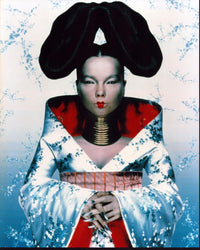 Bj??Rk Homogenic Album Cover Photo Print - 8x10