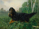 Gordon Setter in a Landscape poster print by Alexander Pope Jr.