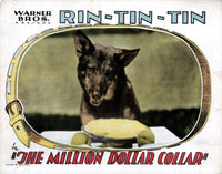 The Million Dollar Collar Rin Tin 1929 Movie Masterprint Poster