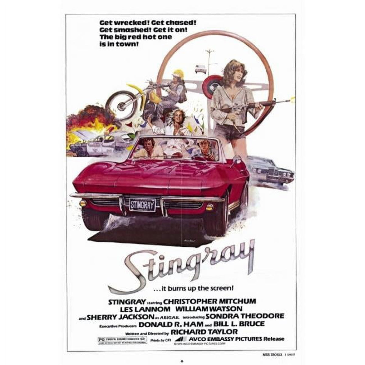 Stingray Movie Poster Print - 27x40 inch vibrant artwork.