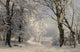 Forest In Winter (1882) art print by Anders Andersen-Lundby, depicting a tranquil winter landscape.