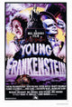 Young Frankenstein Movie Poster Print in 27x40 size