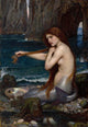 A Mermaid art print by John William Waterhouse showcasing mythical beauty.