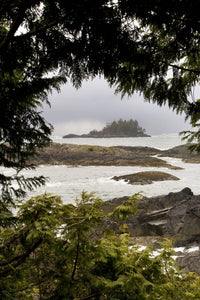 Coastal Scenery Fine Art Print from Tofino, British Columbia by Deddeda