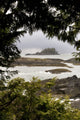 Coastal Scenery Fine Art Print from Tofino, British Columbia by Deddeda