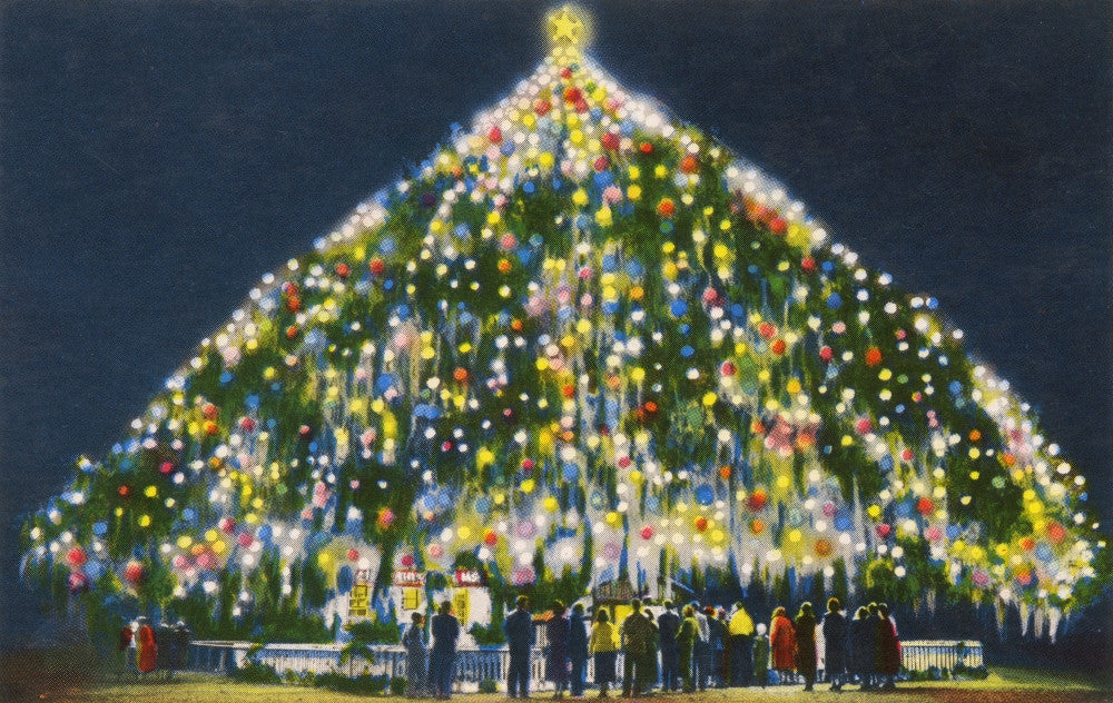 World's Largest Living Christmas Tree Poster Print - Wilmington