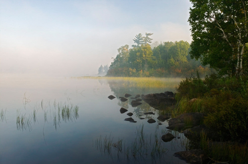 Foggy Shoreline Trees at Nina Moose Lake Fine Art Print by Panoramic Images