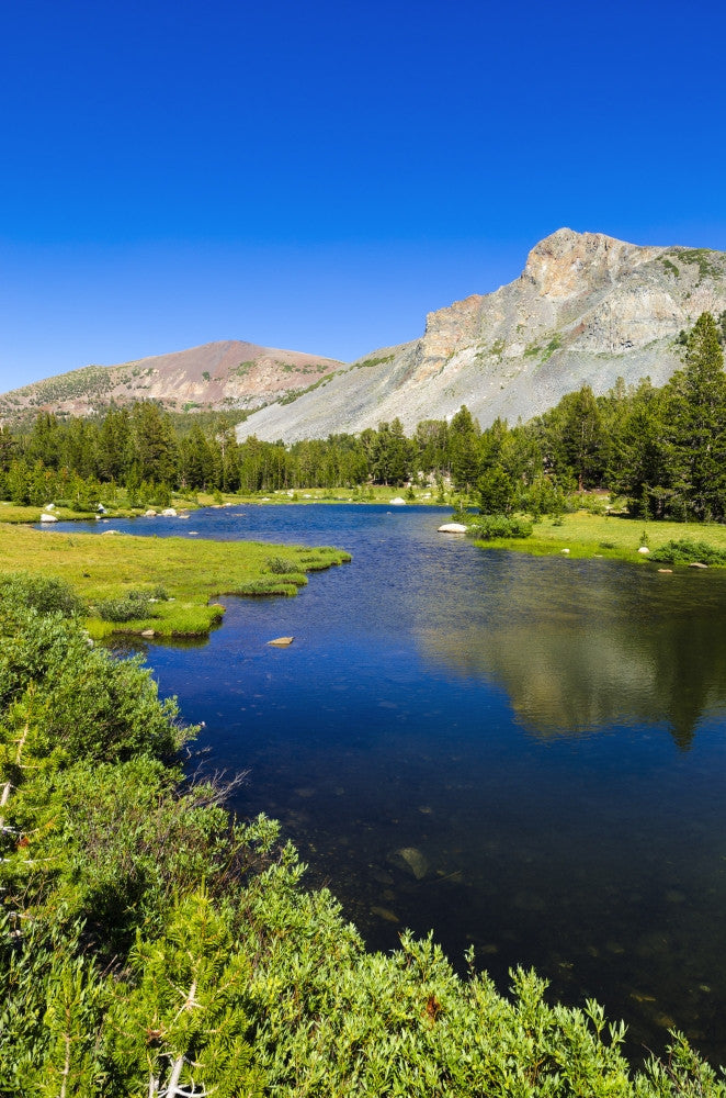 Alpine Tarn in Dana Meadows Poster Print by Russ Bishop