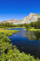 Alpine Tarn in Dana Meadows Poster Print by Russ Bishop