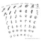 Comparative Embryology Fine Art Print - Chart from Fish to Human