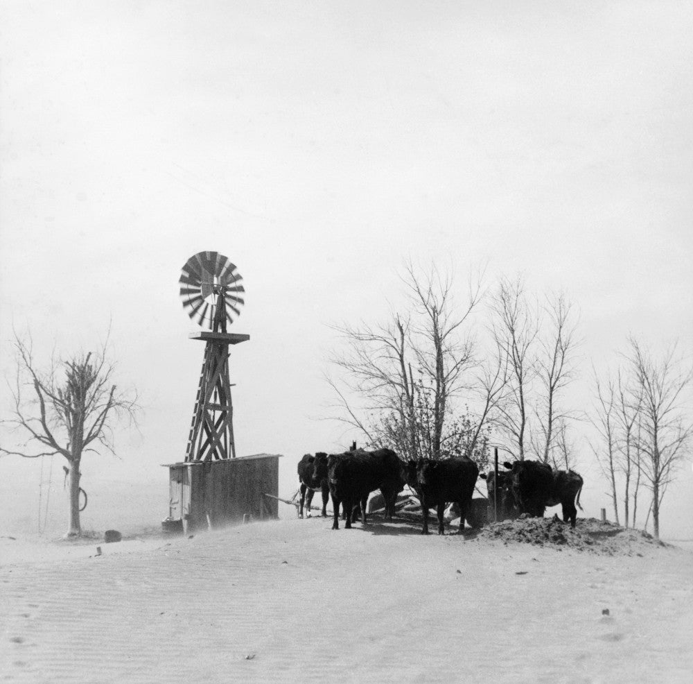 Oklahoma Dust Bowl 1936 Fine Art Print by Arthur Rothstein