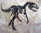 Allosaurus Dinosaur Skeleton Fine Art Print on Textured Background