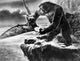 King Kong 1933 Movie Poster Print by Granger Collection