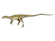 Scutellosaurus Dinosaur Poster Print on White Background